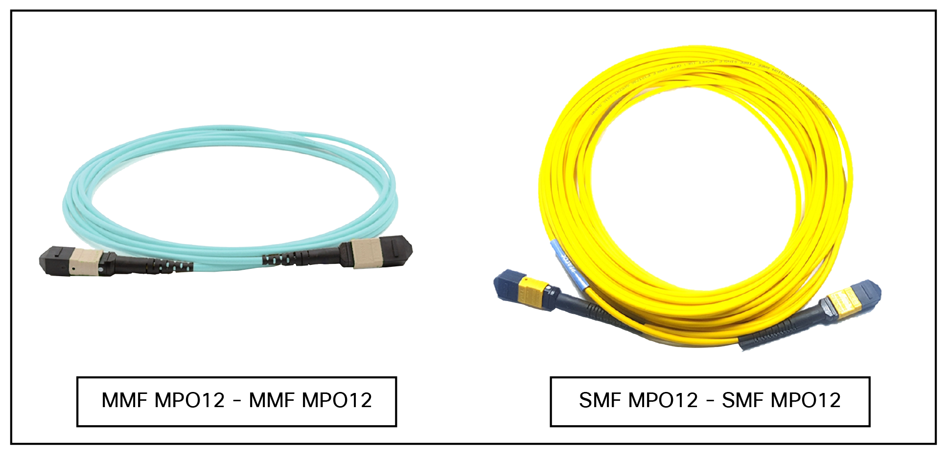 MultiFiber Push-On (MPO) Cables Multi-Mode (MMF) and Single Mode (SMF)