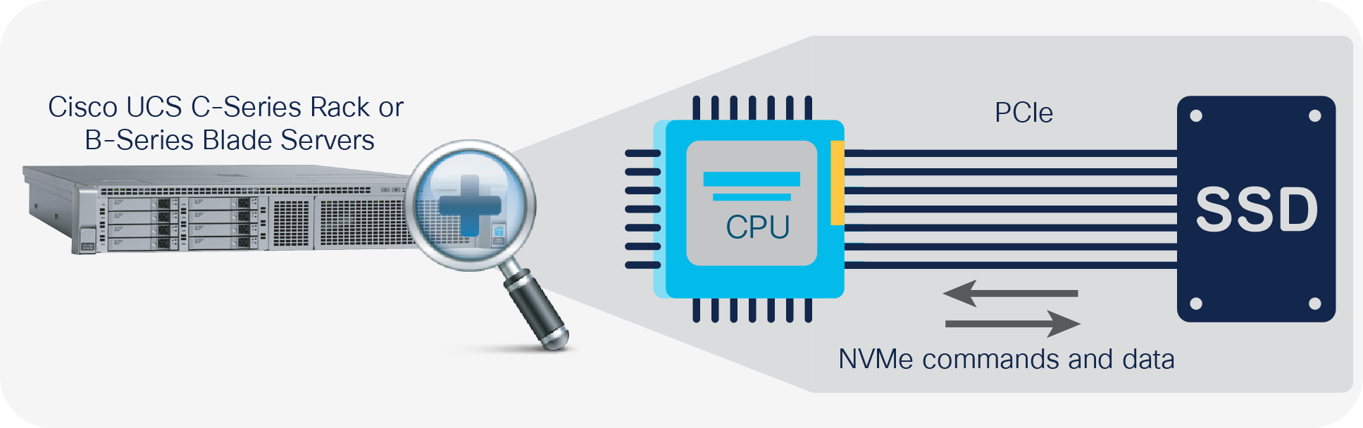 NVMe Storage for Cisco UCS C-Series Rack and B-Series Blade Servers