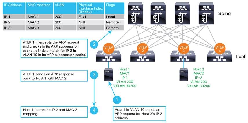 Deploy a VXLAN Network with an MP-BGP EVPN Control Plane White Paper
