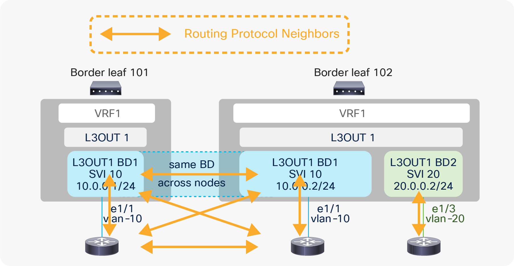 L3Out BD and routing protocol neighbors