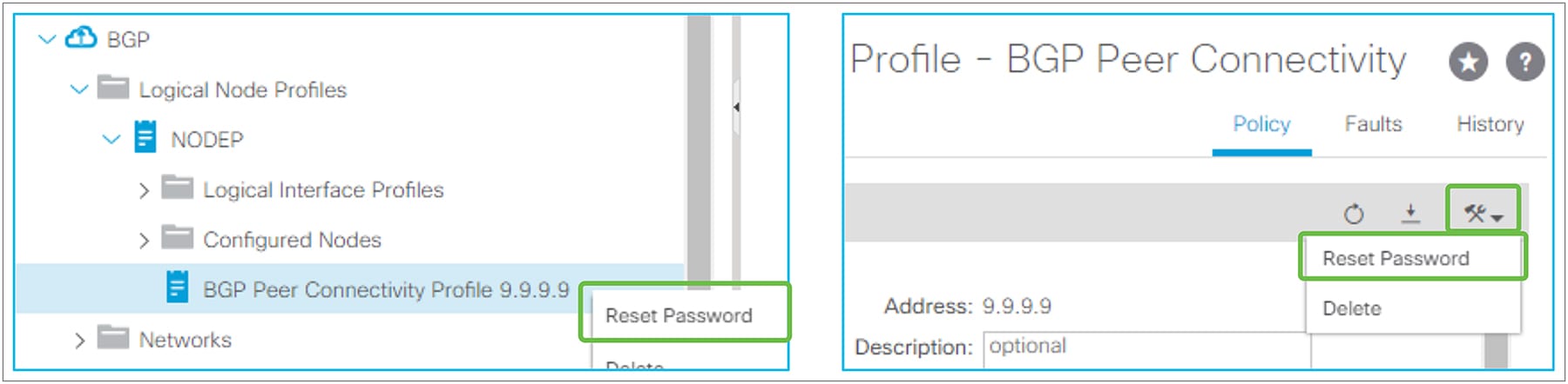 BGP Peer Connectivity Profile (Reset Password)