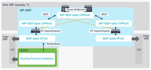 Infra MP-BGP architecture