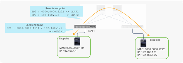 Local and remote endpoints