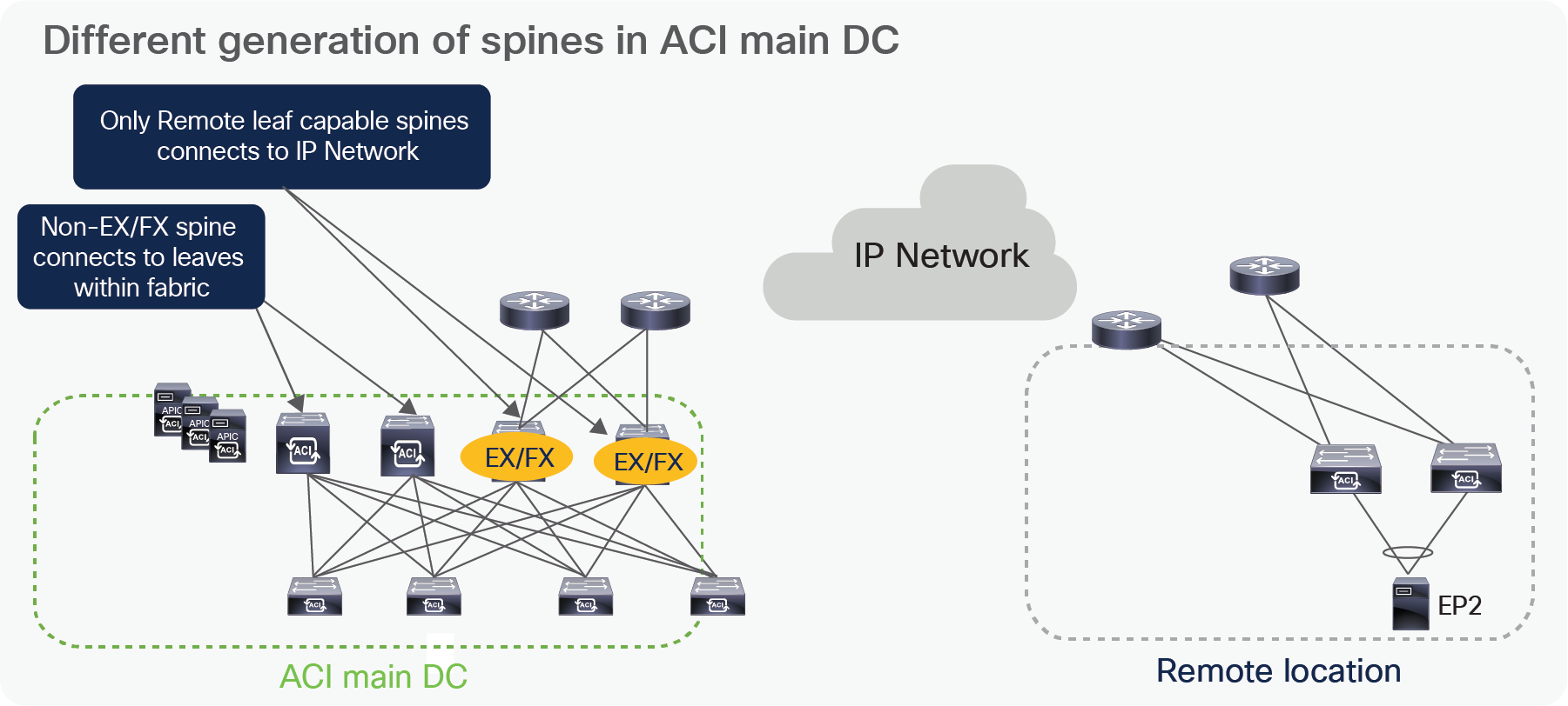 Different generation of spines in ACI main DC