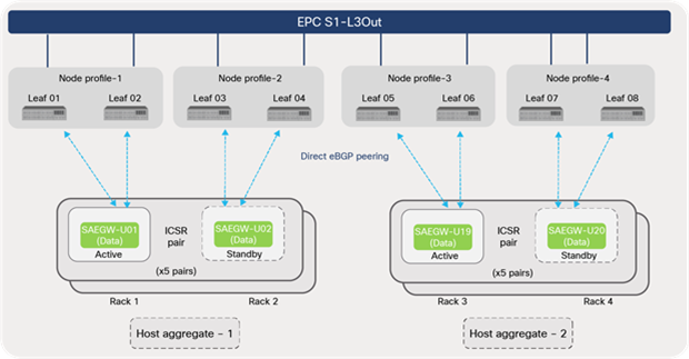 ACI routing toward SAEGW-U (VPC-SI and ICSR)