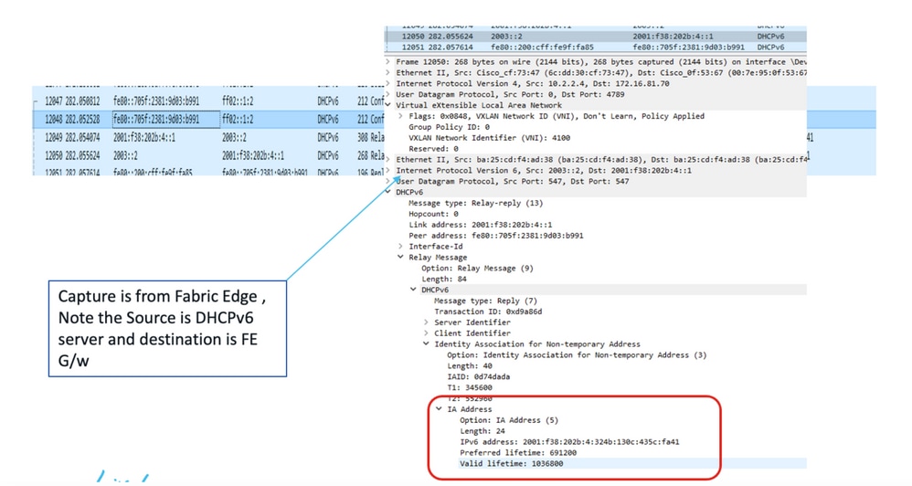 Packet Capture from DHCPv6 server to Fabric Edge Node