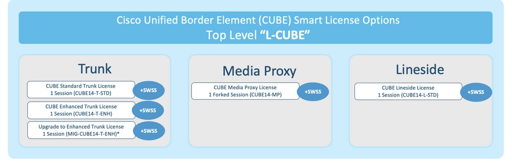 CUBE Smart License Options