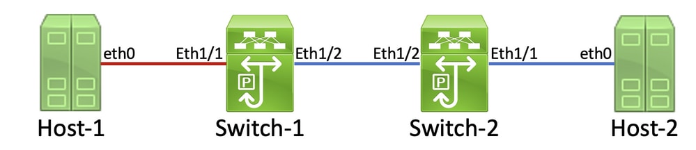 두 개의 호스트가 하나의 시리즈에 두 개의 스위치를 통해 연결된 것을 보여주는 네트워크 토폴로지.