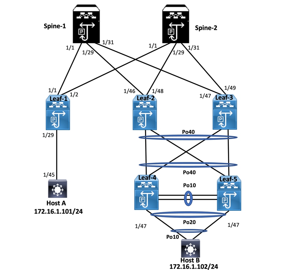 Network Diagram for Double-sided Virtual vPC