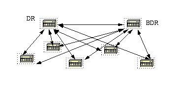 OSPF 设计指南 - 指定路由器和备用指定路由器