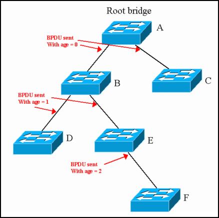 The Root Bridge