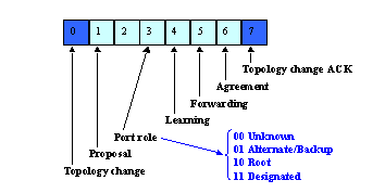 BDPU Format