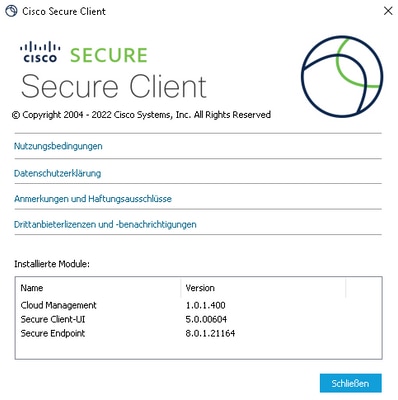 Secure Client GUI about section in German