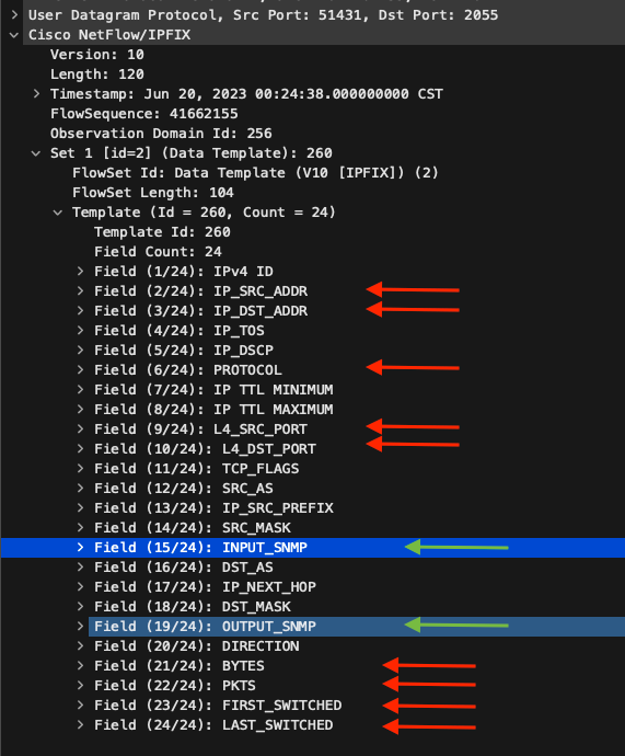 Plantilla de Netflow 2