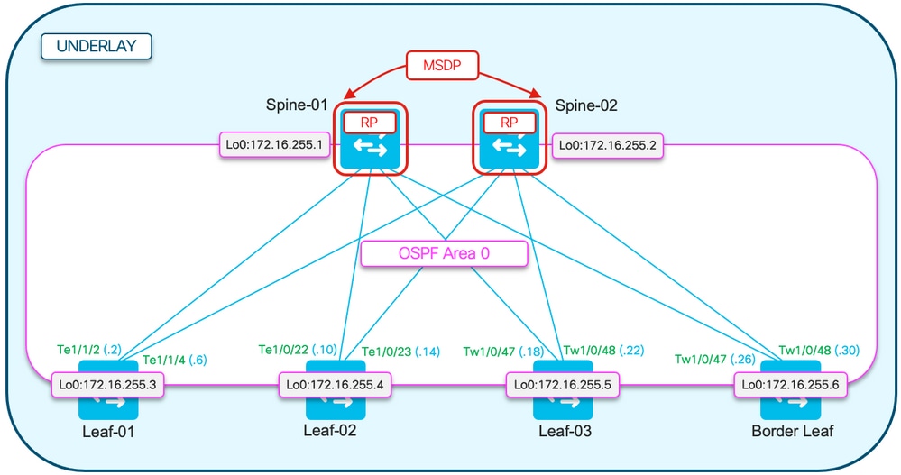 EVPN OSPF Underlay Topology