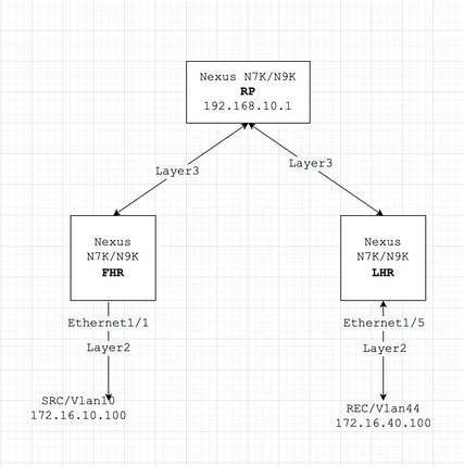 Example routed multicast topology