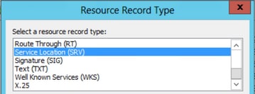Create Resource Record Type (SRV)