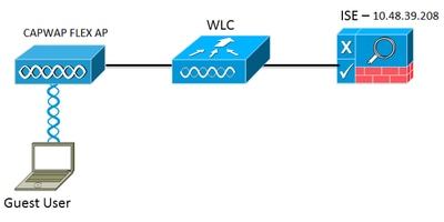 Network Setup