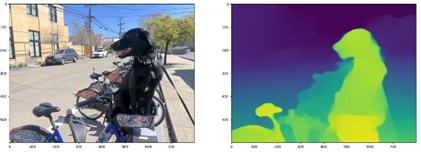 A dog sitting on a benchDescription automatically generated