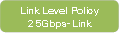 Link Level Policy25Gbps-Link