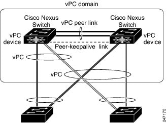 vPC connections 
			 