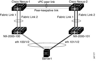 Host Interface vPC Topology
				  