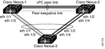 Switch-to-switch vPC topology
			 