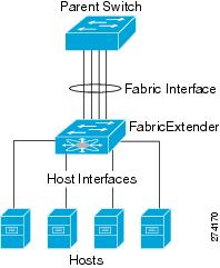 An EtherChannel fabric interface bundles connections into a single logical channel.