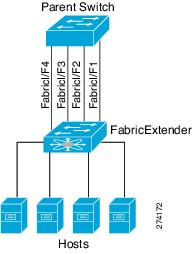 Individual fabric interfaces are statically pinned between a Fabric Extender and its parent switch.