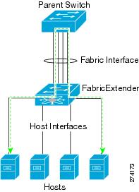 Traffic between two hosts connected to the Fabric Extender is forwarded through the parent switch.