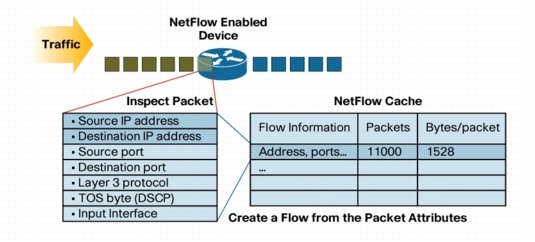 NetFlow Key Parameters