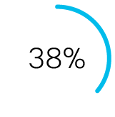 38%