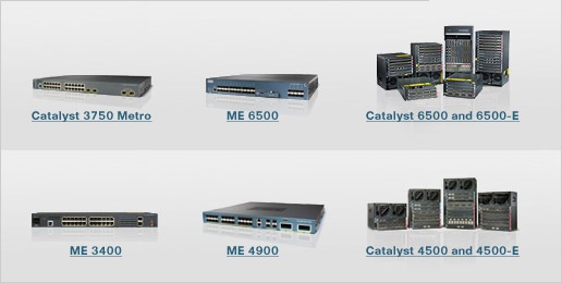 Service Provider Switches