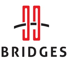 99 Bridges Logo