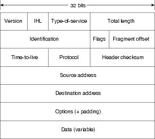 How to write intern packet