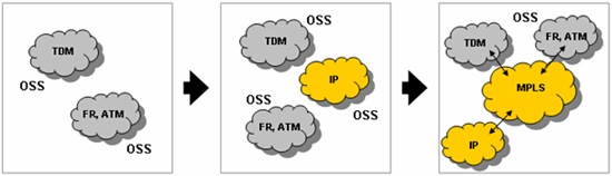 Multi-Service Aware IP/MPLS Core