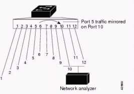 config_span_on_cat_switch_02.gif