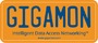 Gigamon