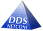 DDS NetCom AG