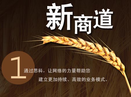 通过思科，让网络的力量帮助您建立更加持续、高效的业务模式。