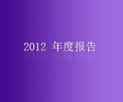 2012 年度报告