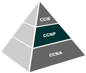 CCNP Instant Answers