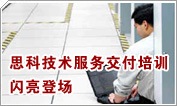思科技术服务交付培训