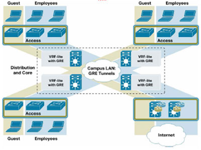图1. 结合使用GRE隧道和VRF-lite