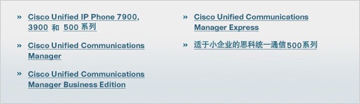 IP 电话
