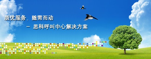 质优服务，随需而动- 思科呼叫中心解决方案