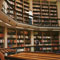 Wissenschaftler Wissenschaftler