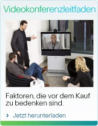 Videokonferenzleitfaden