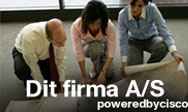 Dit firma A/S sætter fokus på Smart Business Roadmap