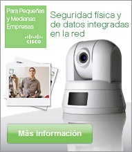 Tranquilidad para su Empresa - Seguridad de Red y F�sica integrada